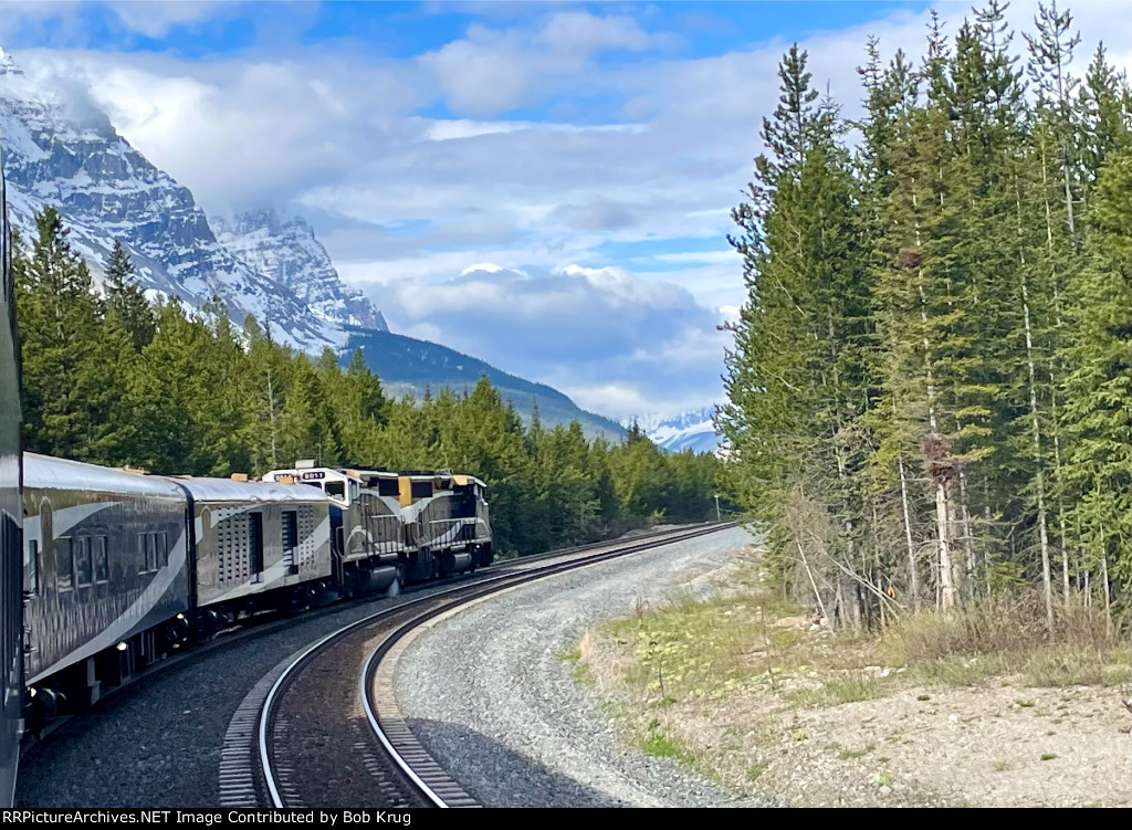 RMRX 8015 leading the westbound Rocky Mountaineer in the Selkirk range